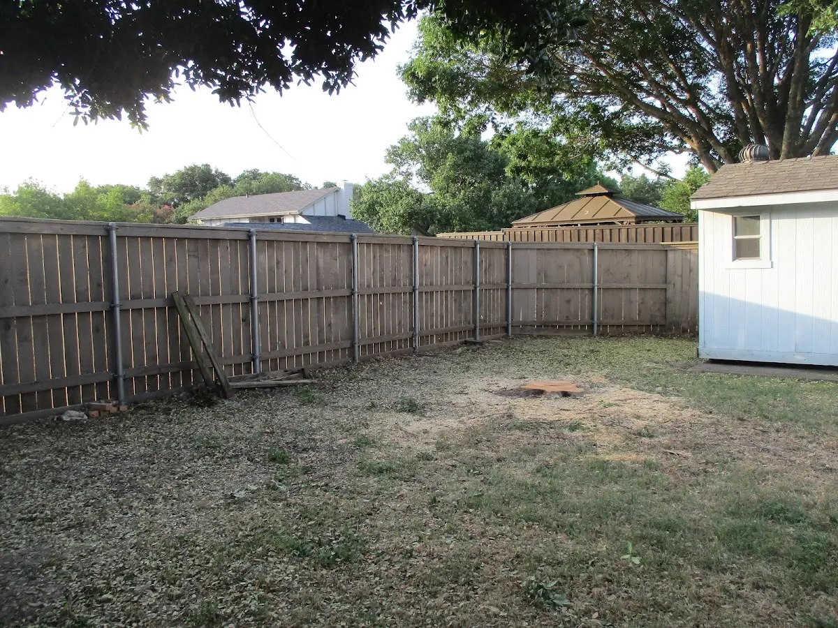 Cleared yard after professional tree removal in Apple River